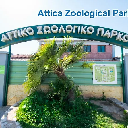 Stone Palace Near Athen's Airport Free Shuttle From And To Athen's Airport